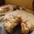 Máglyarakás torta