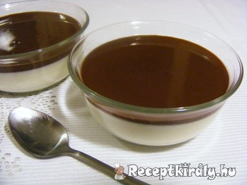 Panna cotta csokoládé öntettel