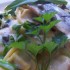 Gombás tortellini fehérboros heringfilével medvehagymával