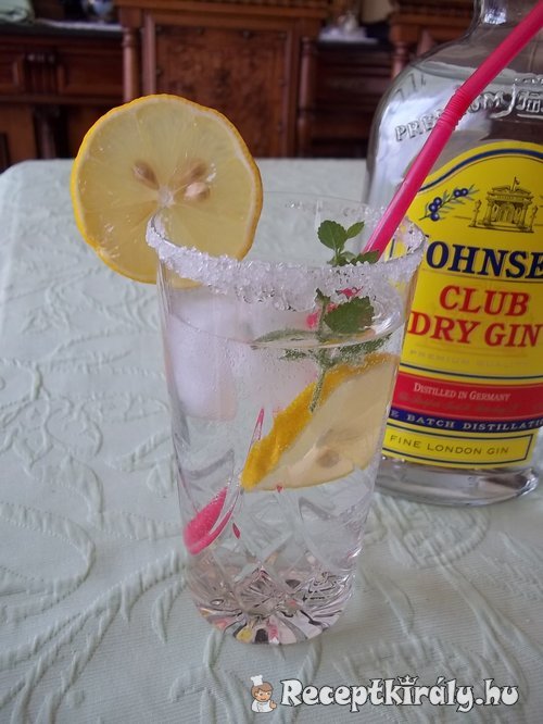Lemon Gin Fizz strong 2