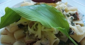 Mángoldos medvehagymás rigatoni füstölt lazaccal fehér borral