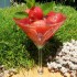 Strawberry vodka cocktail