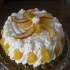 Diplomata torta