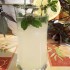 Mentás limonádé vodkával