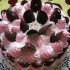 Karamellkrémes torta