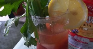 Mexican Tequila Bloody Mary