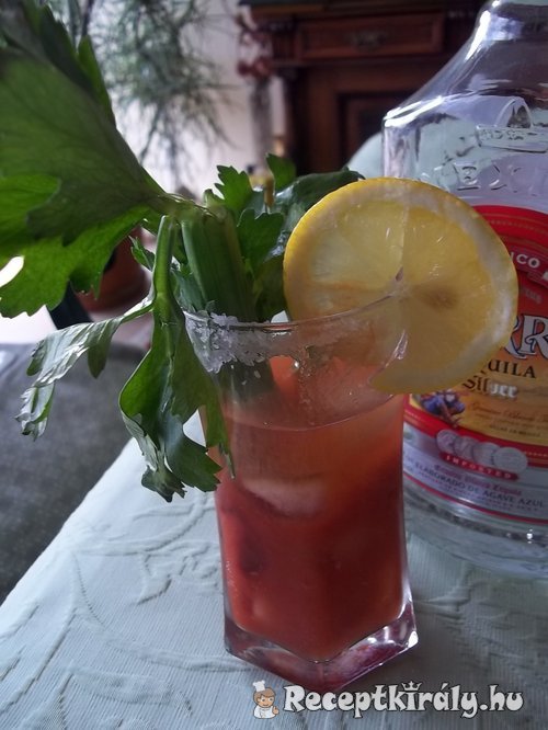 Mexican Tequila Bloody Mary 1