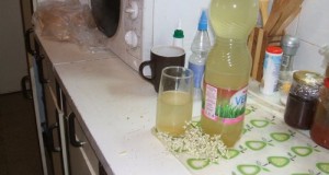 Bodzaszörp