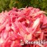Joghurtos cékla káposzta répa saláta