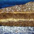 Paleo kávétorta