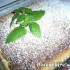 Lemon curdy puding