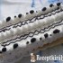 Vienetta torta