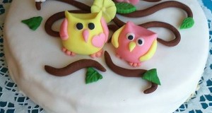 Madártejes bagoly torta