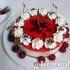 Meggyes joghurt torta