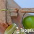 Citromos biscotti – paleo
