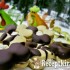 Töltött tiramisu keksz