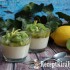 Citromos-kivis panna cotta