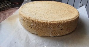 Piskóta tortalap