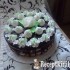 Raffaello torta